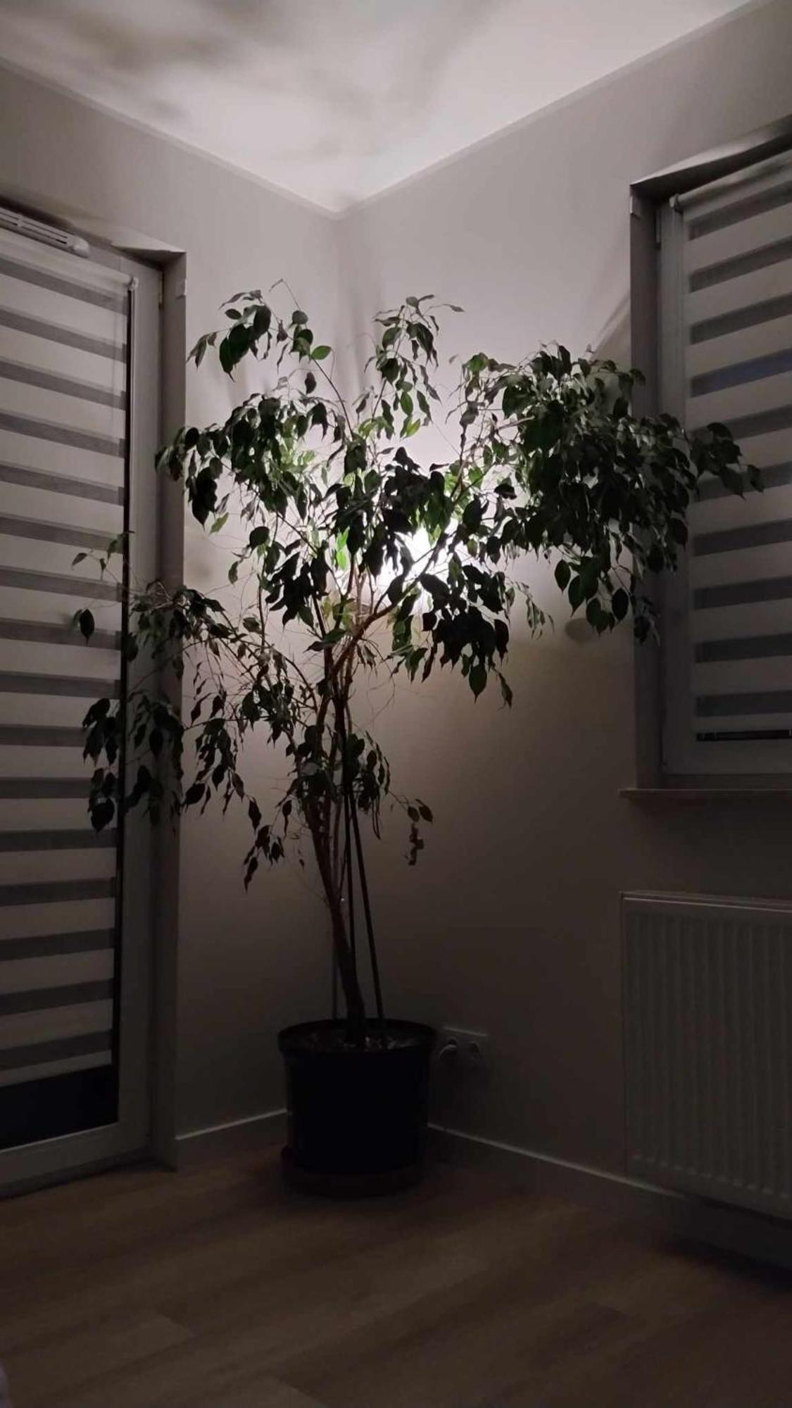 Apartament Zielone Zamienie 외부 사진